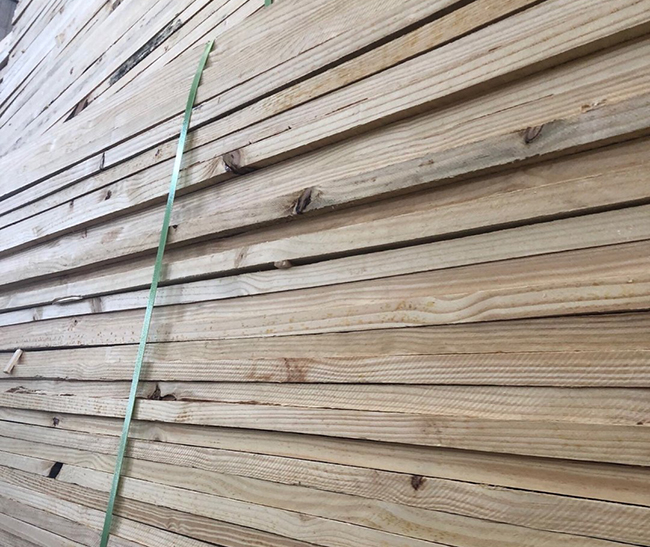 麦盖提巴西松